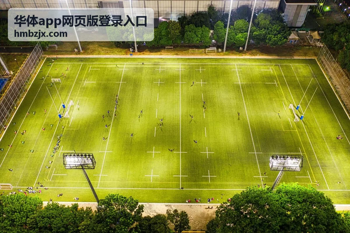 华体app网页版登录入口的账号与密码填写要点示意